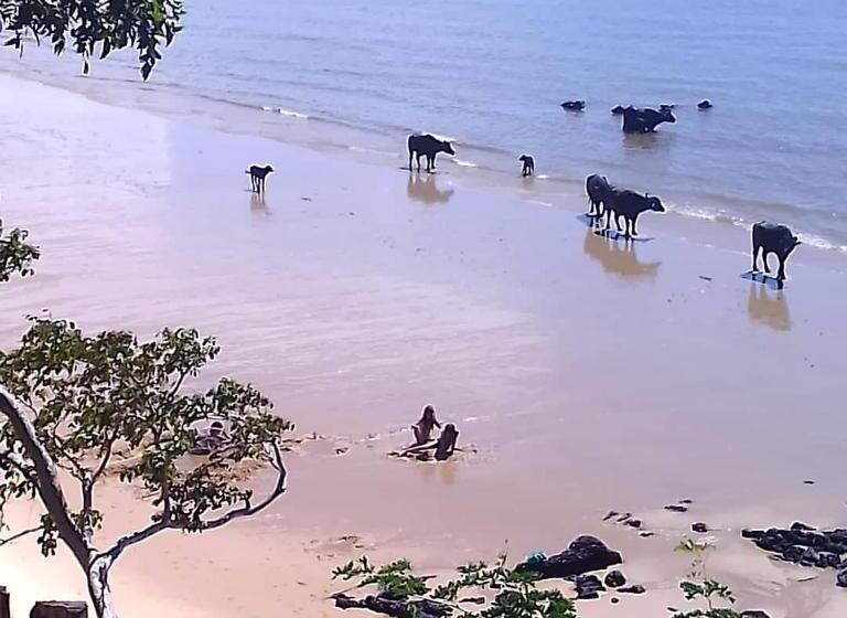 غرفة قياسية, Pousada Ventania Do Rio Mar