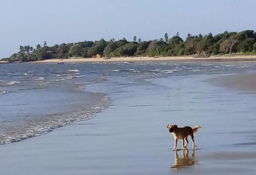 غرفة قياسية, Pousada Ventania Do Rio Mar