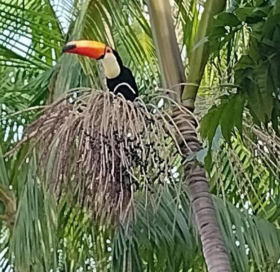 غرفة قياسية, Pousada Ventania Do Rio Mar