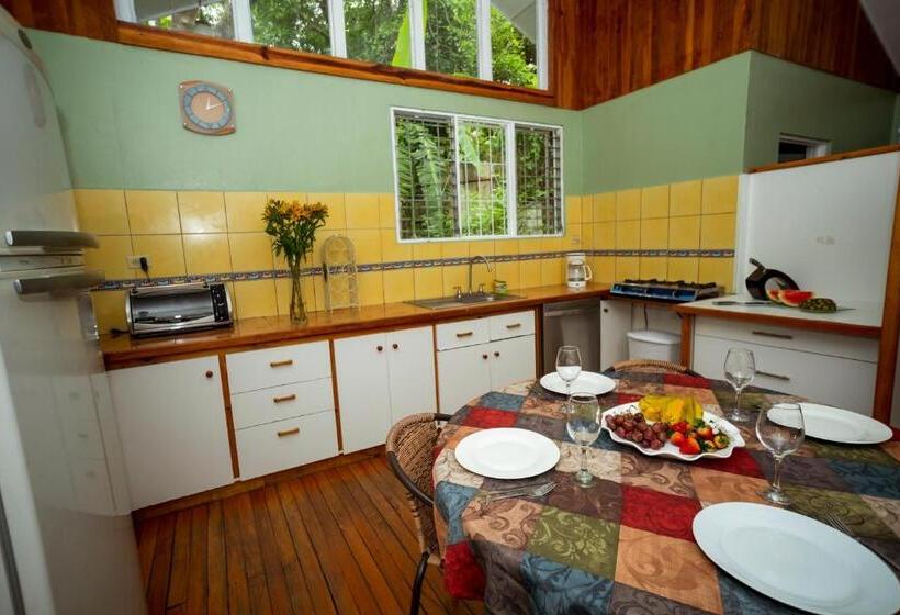 منزل غرفتين نوم, Casa De Piedra Escazú