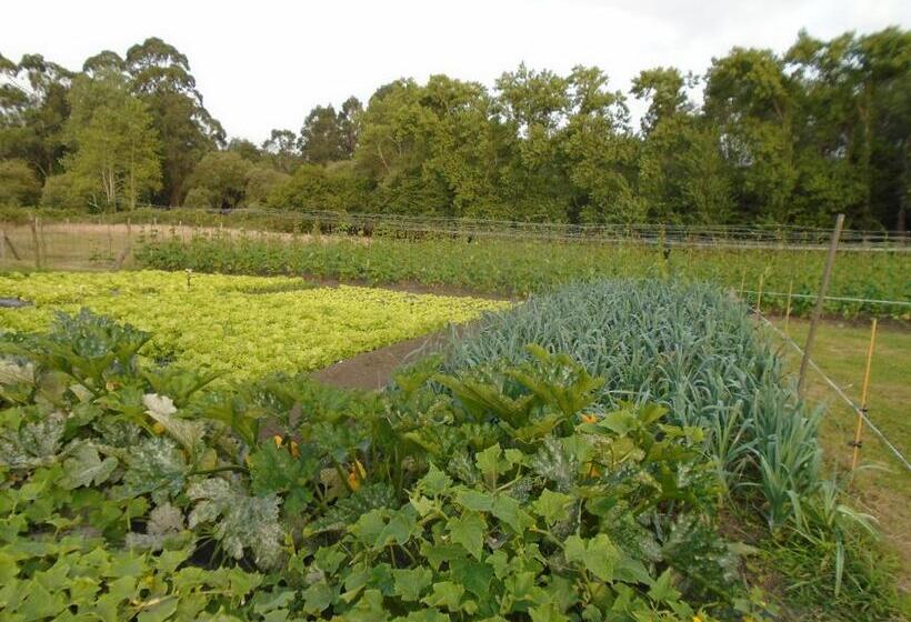 דירת חדר, Turismo Rural El Gobernador