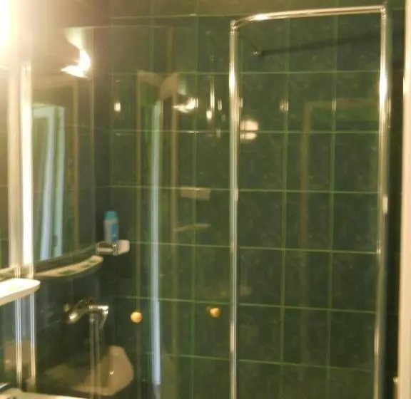 Standard Yhden Hengen Huone, Pensiunea Cora