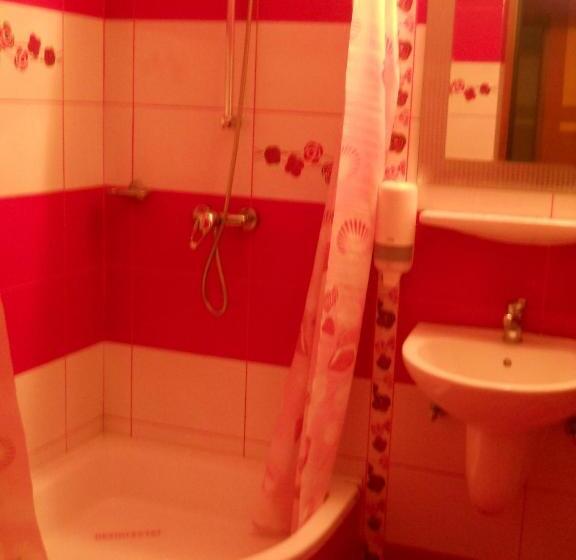 اتاق استاندارد سه نفره, Pensiunea Cora