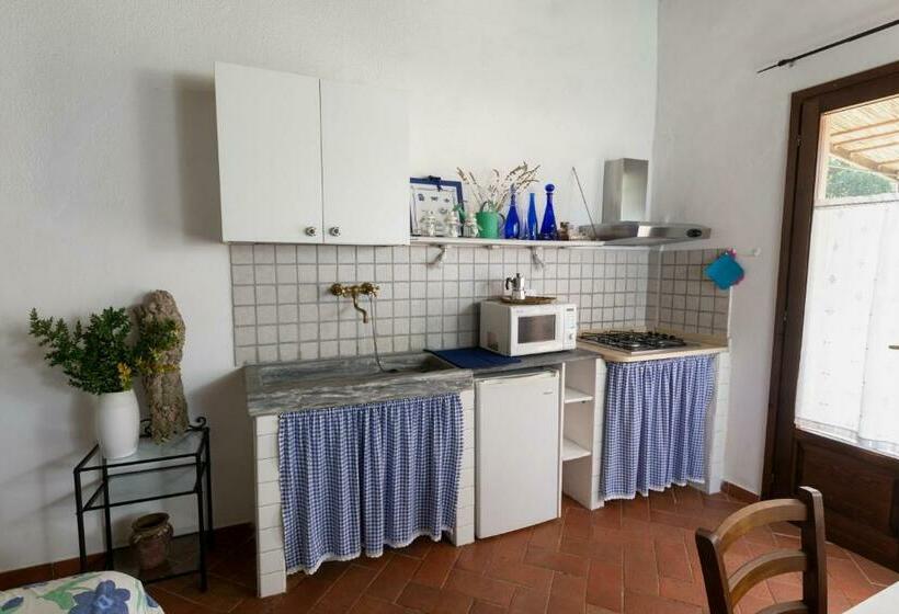 带花园景观的标准工作室, Agriturismo Colle Vento