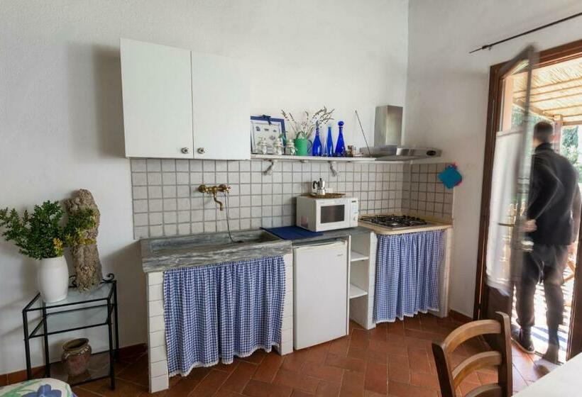 带花园景观的标准工作室, Agriturismo Colle Vento