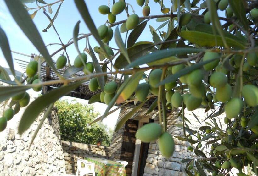 Апартаменты 1 Спальня, Agriturismo Specchiarussa