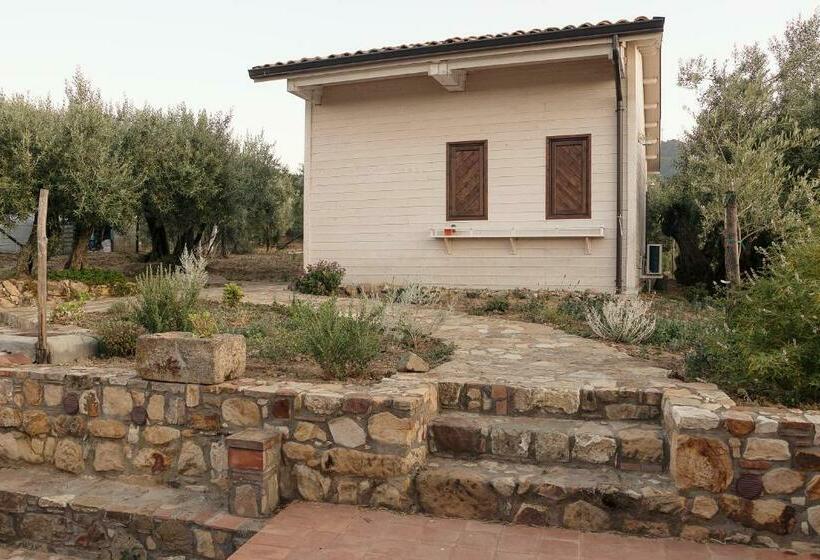 Апартаменты 1 Спальня, Le Querce Di Cota