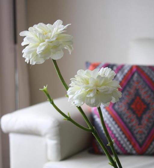 شقة غرفة واحدة, Hostal Buró