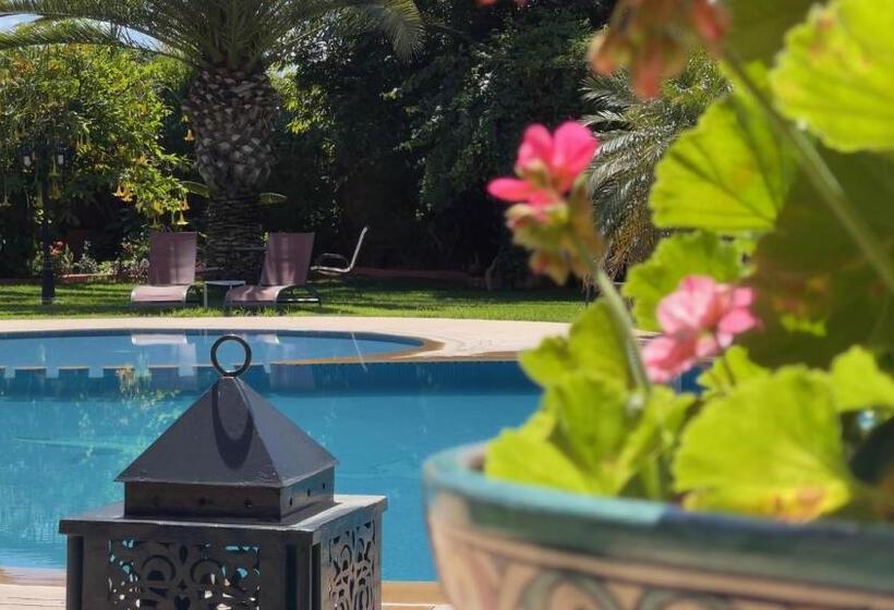 اتاق لوکس, Riad Noumidya