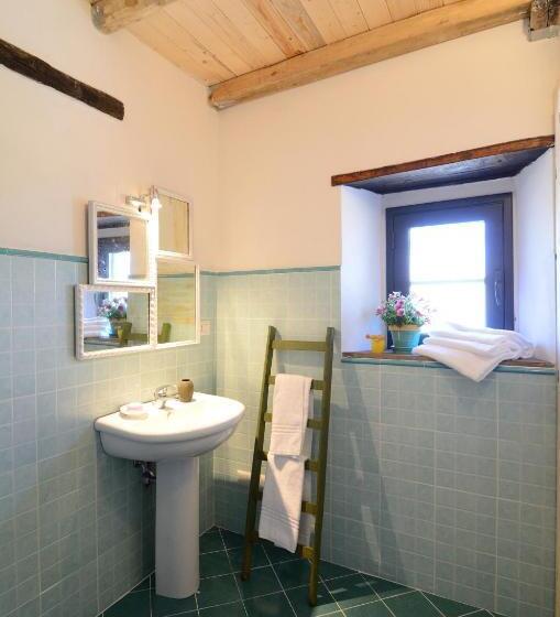 Номер Стандарт, Il Tanaceto