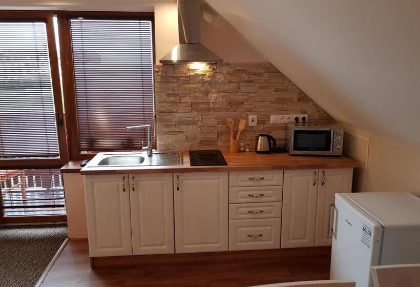 스탠다드 스튜디오 (전망), Villa ďurčík