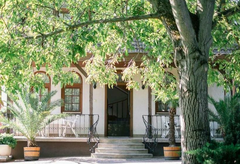 Апартаменты 1 Спальня Вид на Сад, Apartman Diófa