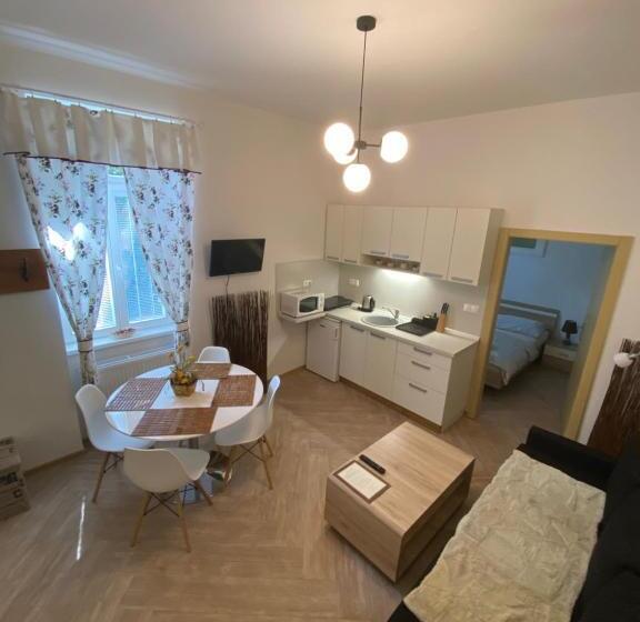 شقة غرفة واحدة, Apartmany Moravienka