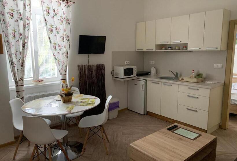 شقة غرفة واحدة, Apartmany Moravienka