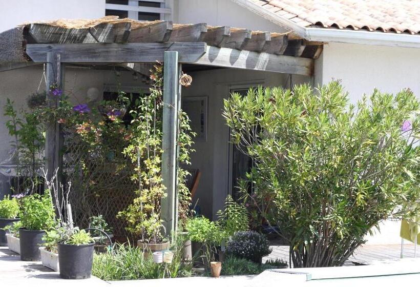 اتاق استاندارد با تخت بزرگ, Calme Et Nature Bassin D Arcachon