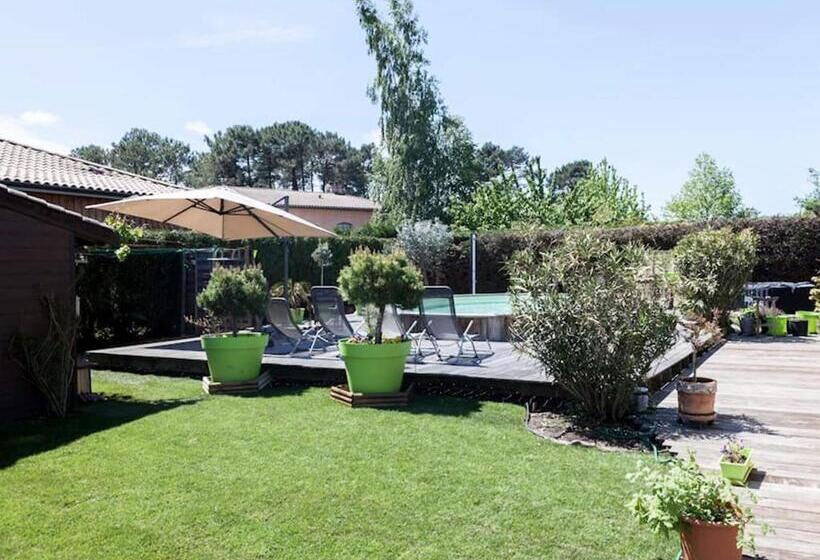 اتاق استاندارد با تخت بزرگ, Calme Et Nature Bassin D Arcachon