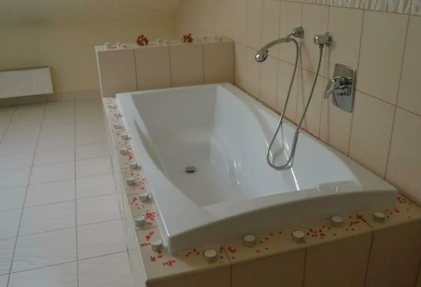 スタンダードルーム, Penzion U Zámecké Zahrady