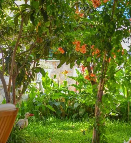 Apartament cu 1 dormitor parter, Kaya Apart Datca