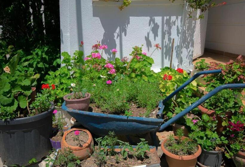 Апартаменты 1 Спальня Вид на Сад, Kaya Apart Datca