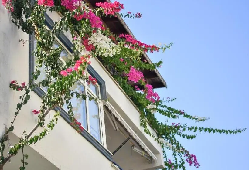 Apartament 1 Dormitor cu Terasă cu Vedere la Mare, Kaya Apart Datca