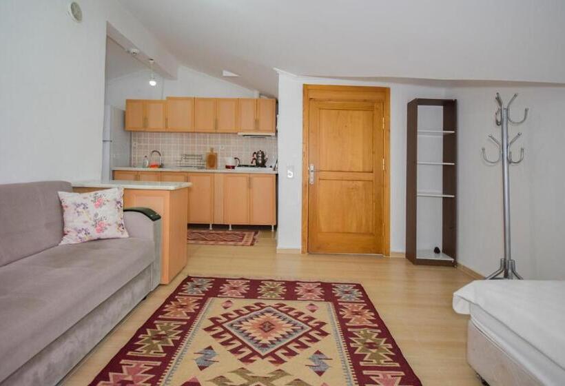 Апартаменты 1 Спальня с Террасой Вид на Море, Kaya Apart Datca