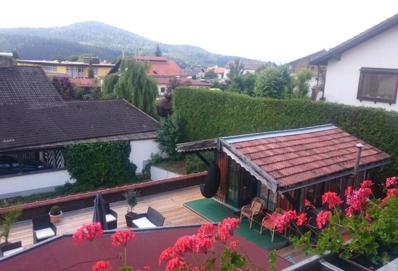 スタンダードシングルルーム, Pension Landhaus Koller Adults Only