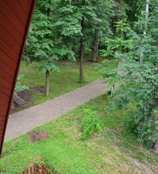 Пентхаус, Pensiunea Happy Inn