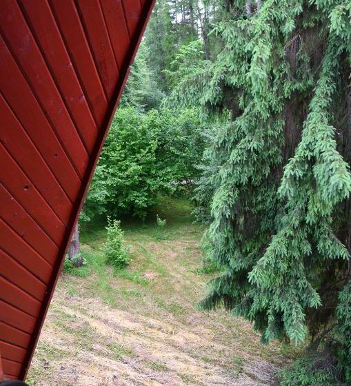 Номер Economy, Pensiunea Happy Inn