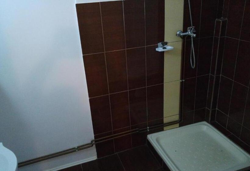 Номер Economy, Pensiunea Happy Inn