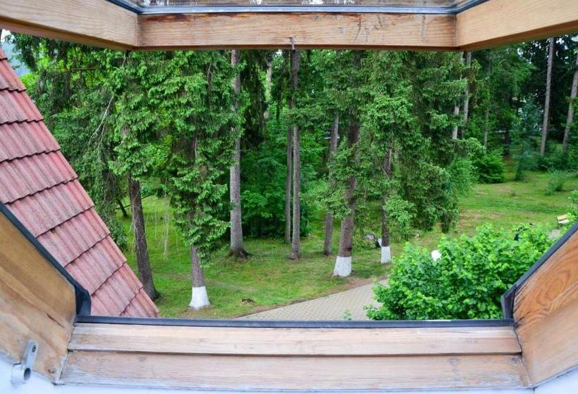 Семейный Номер Superior, Pensiunea Happy Inn