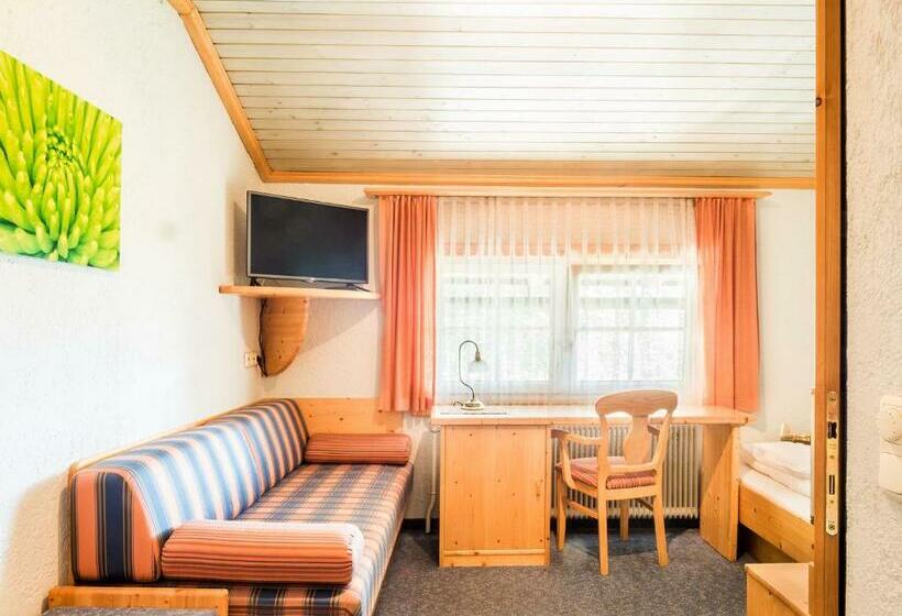 غرفة قياسية فردية, Siri's Einkehr