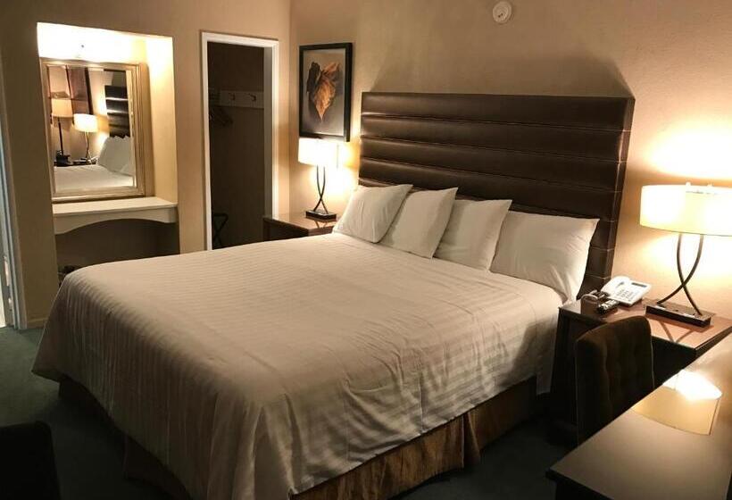 Стандартный Номер Кровать Кинг, Discovery Inn