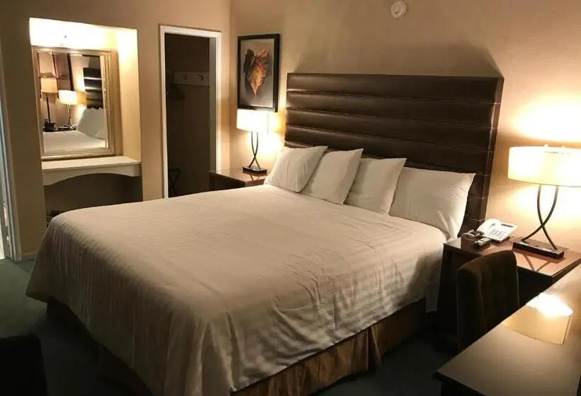 キングサイズベッドのスタンダードルーム, Discovery Inn
