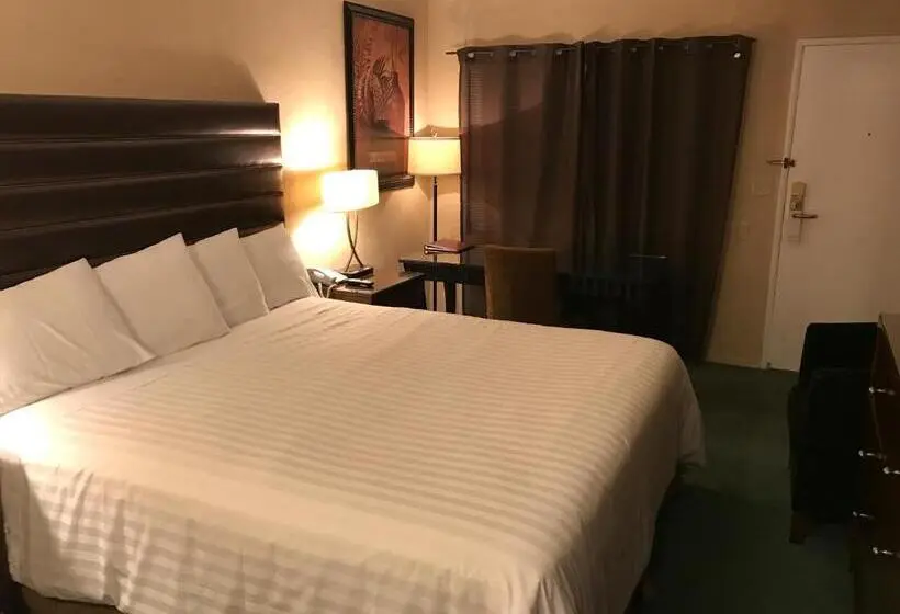 キングサイズベッドのスタンダードルーム, Discovery Inn