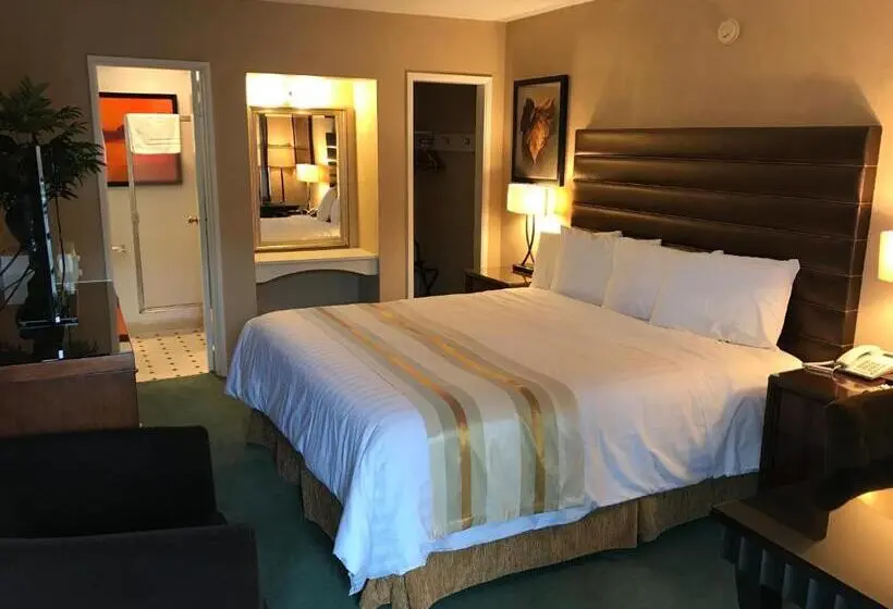 キングサイズベッドのスタンダードルーム, Discovery Inn
