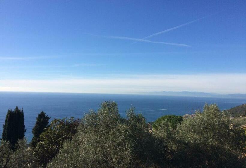 스탠다드 룸 바다 전망, Agriturismo S.ilario