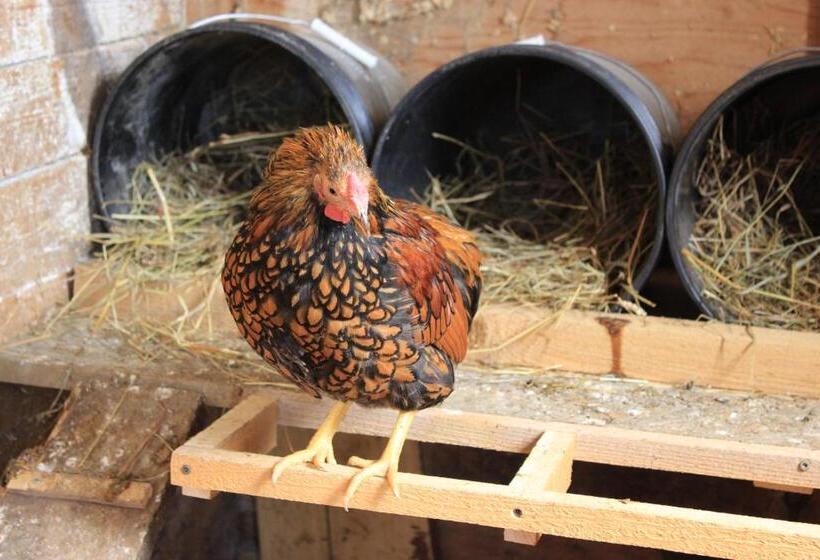 Шале 1 Спальня, Maison Du Vieux Chemin