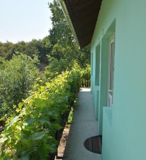 标准间, Rooms Petrovic