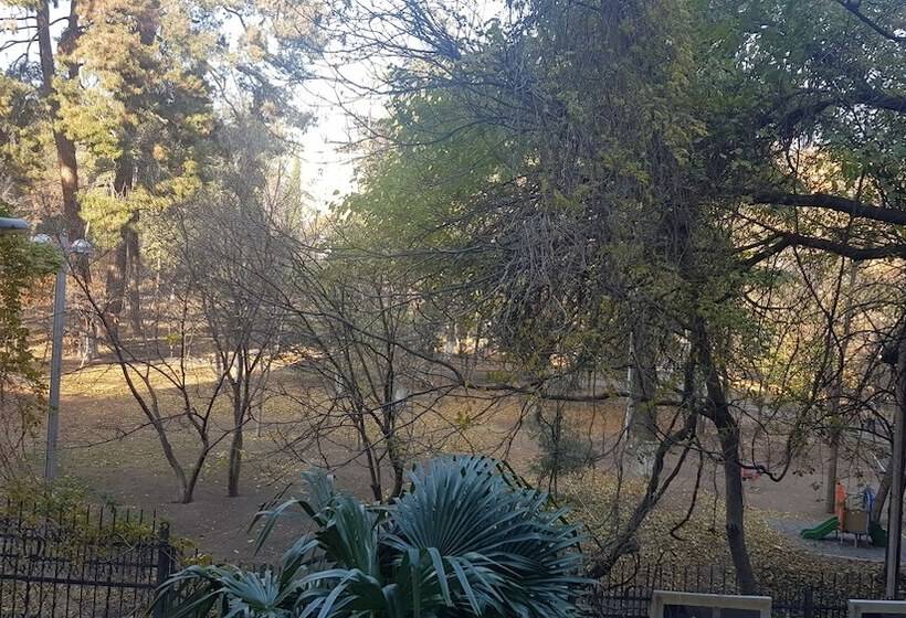 Номер Стандарт, Liberty Theatre