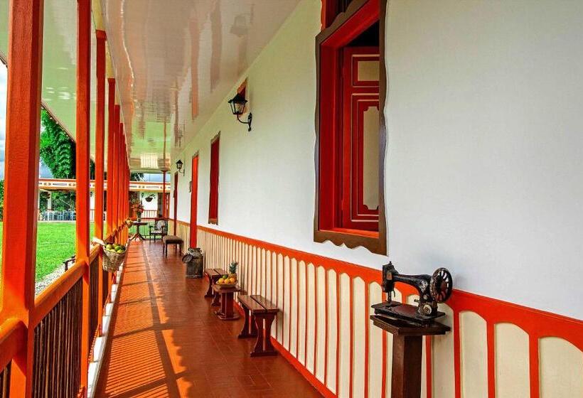 اتاق لوکس, Terra Tacuara