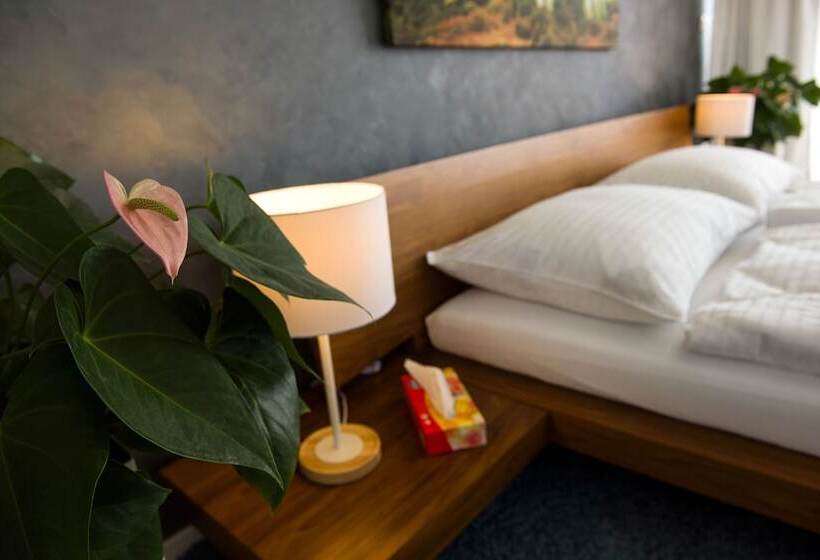 اتاق کلاس بیزنس, More Than Accommodation