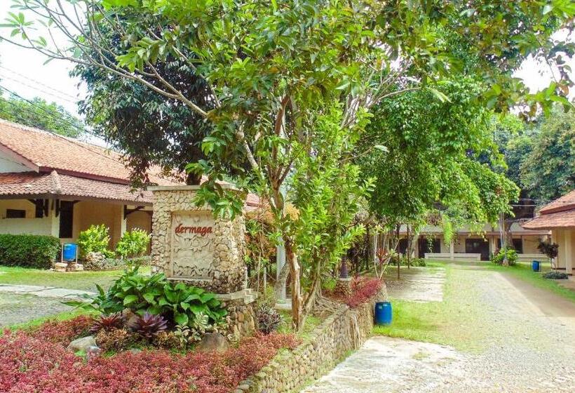 豪华房间, Pendopo 45 Resort