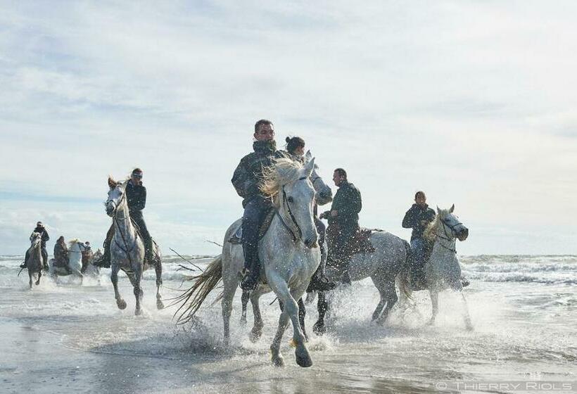 اتاق استاندارد با تخت بزرگ, Le Neptune En Camargue