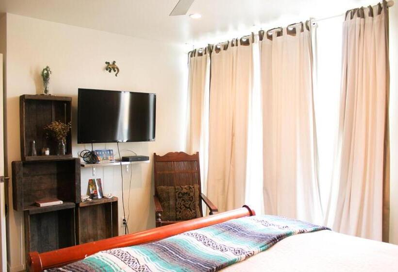 デラックススイート, Ocean Front Vortex Female Hostel Private Rooms Free Bikes