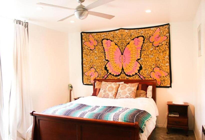 デラックススイート, Ocean Front Vortex Female Hostel Private Rooms Free Bikes