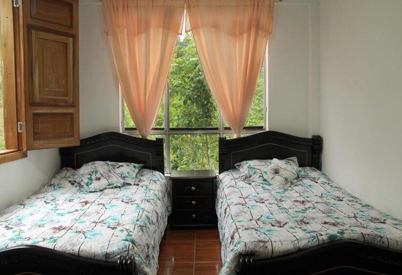 スタンダード４人部屋, Eco Hotel El Columpio