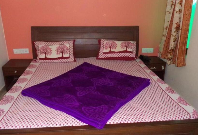 エコノミートリプルルーム, Chandra Lokk