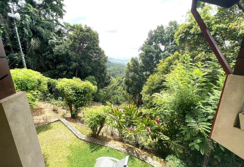 バルコニー付スイート, Rosyth Estate House