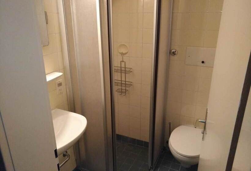 חדר סטנדרט לשלושה, Almagmach