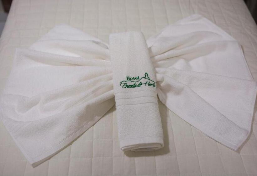 חדר דלוקס יחיד, Encosta Do Horto